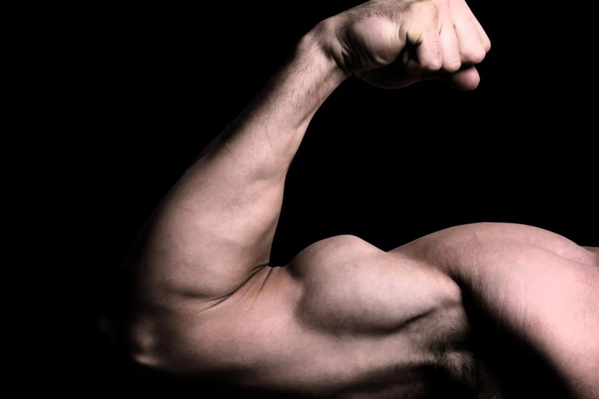 How To Build Up Biceps Without Weights